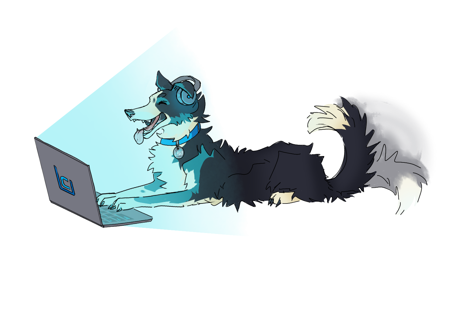 Laika am Laptop